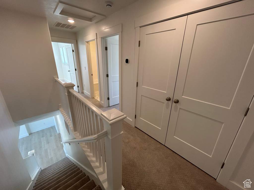 Staircase with attic access and carpet floors