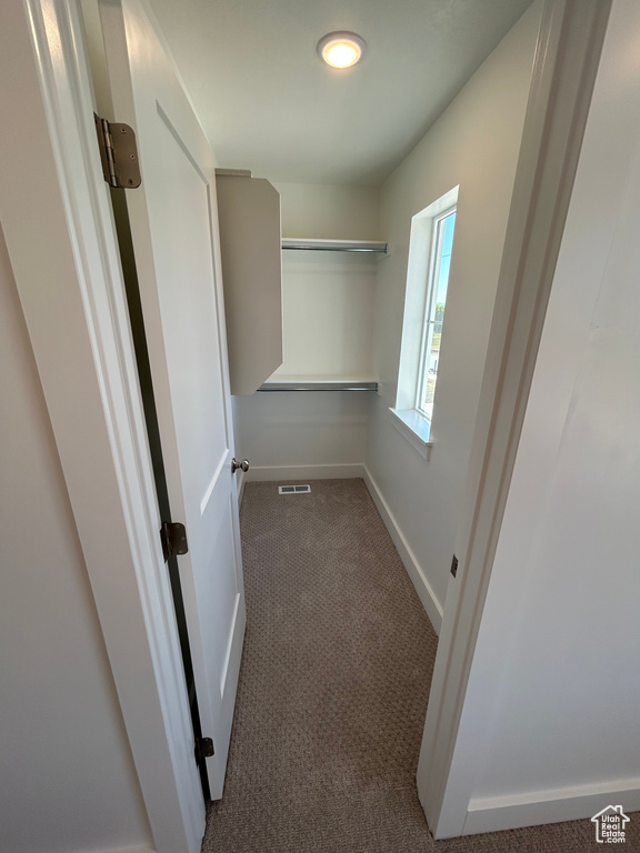 Spacious closet with carpet floors
