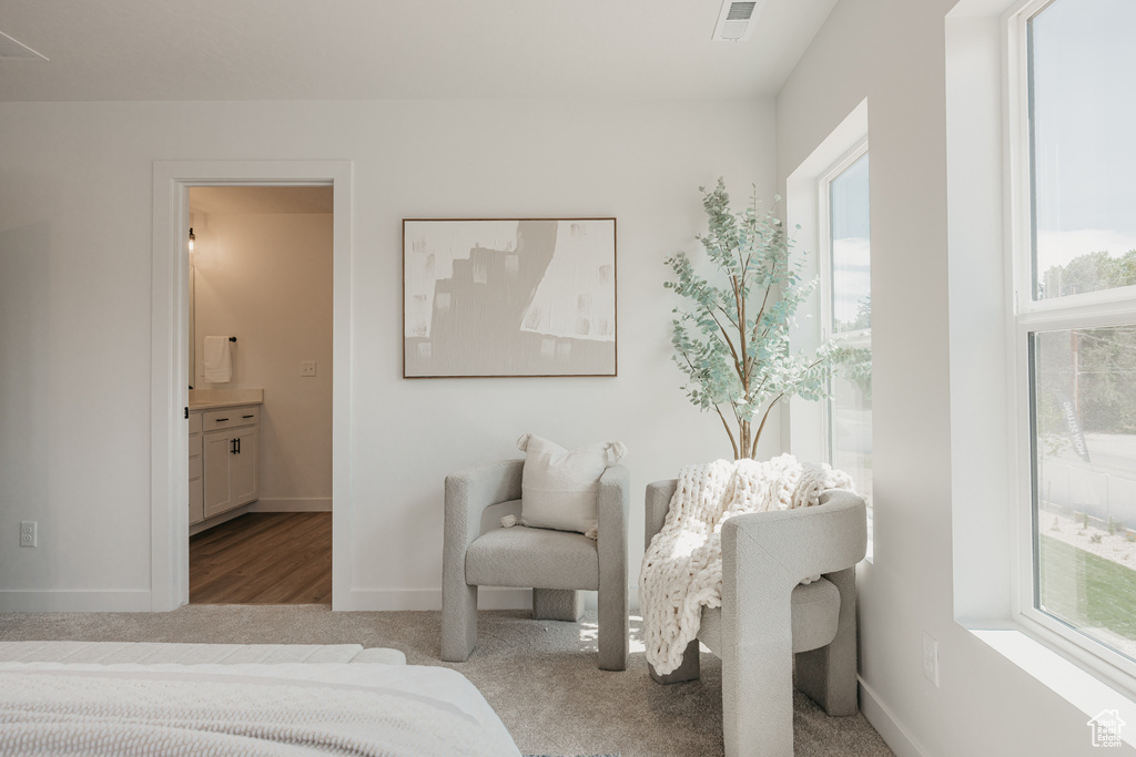 Bedroom featuring multiple windows, carpet, and ensuite bath