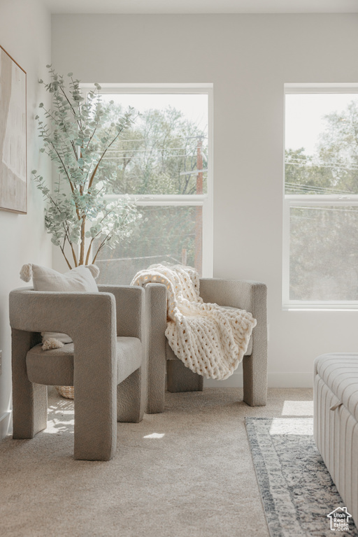 Bedroom featuring carpet floors