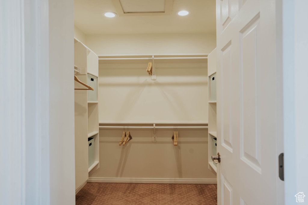 View of spacious closet
