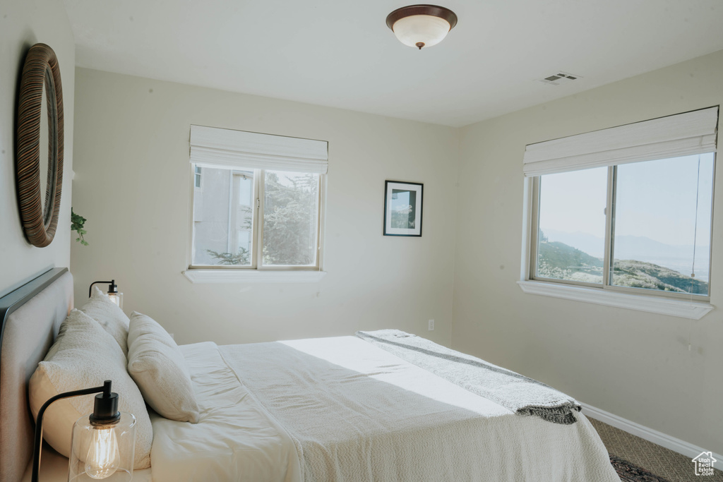 Carpeted bedroom featuring multiple windows