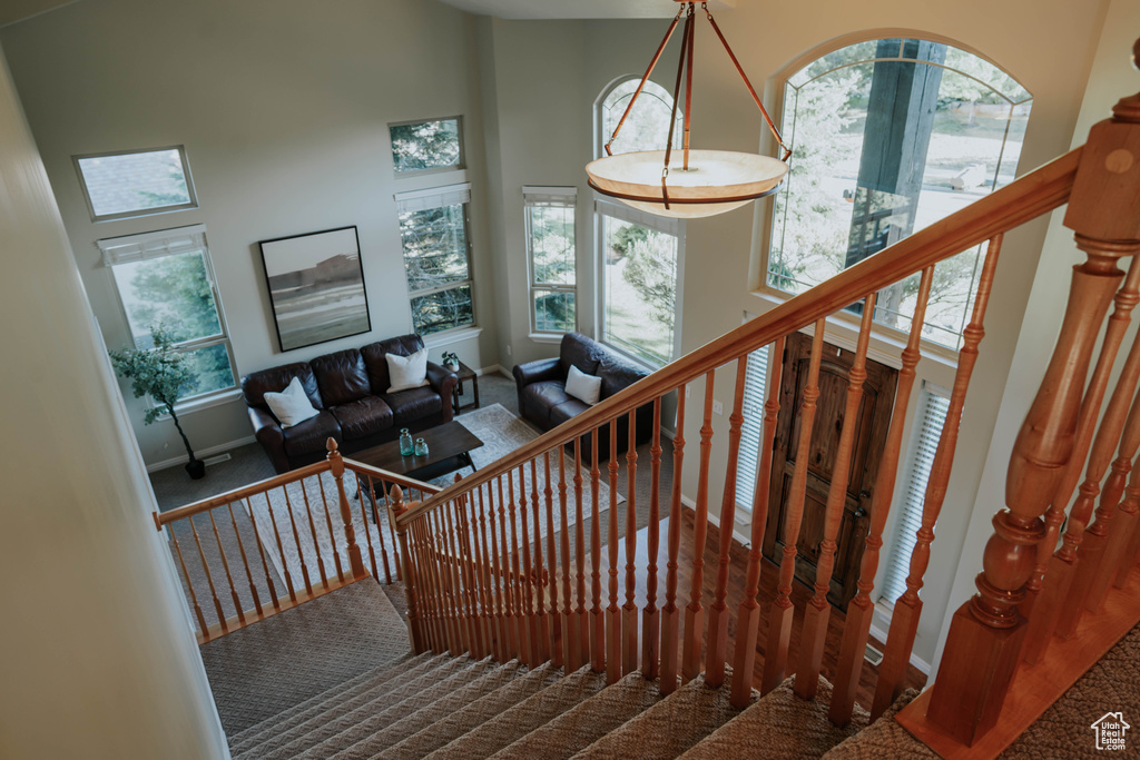 Staircase featuring a high ceiling and carpet floors