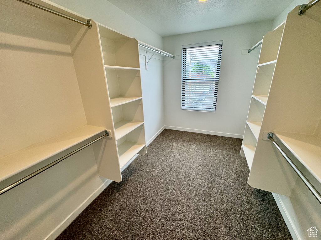 Spacious closet featuring dark carpet