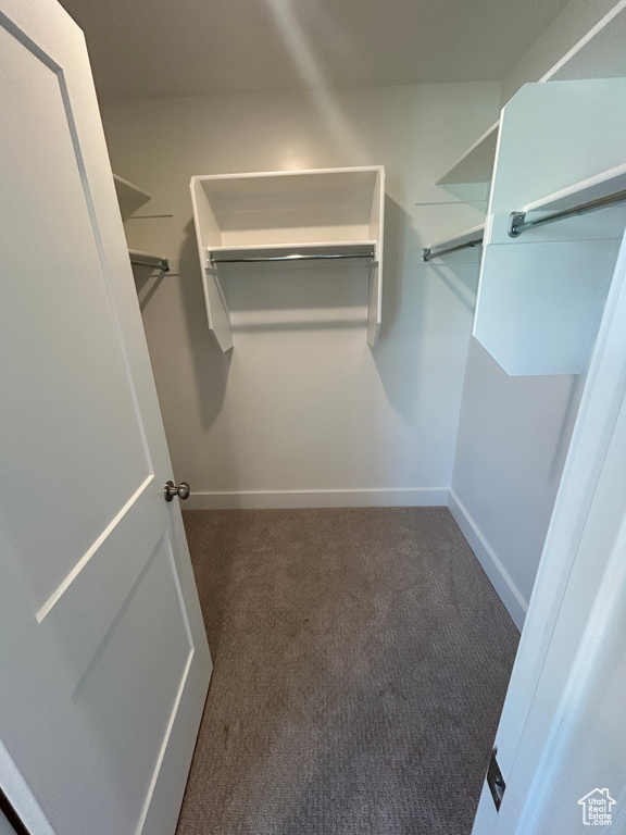 Walk in closet featuring carpet