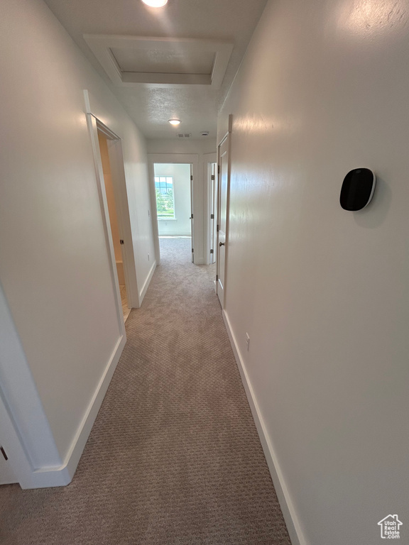 Hallway with light carpet and attic access