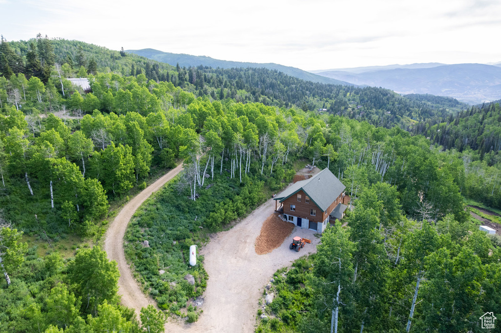 Aerial overview of property\'s location with a forest and a mountain backdrop