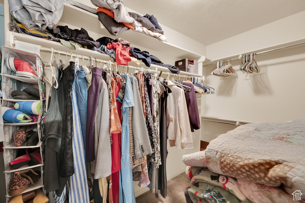 Walk in closet with carpet