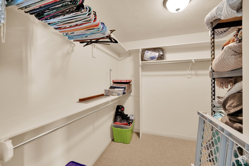 Spacious closet featuring carpet