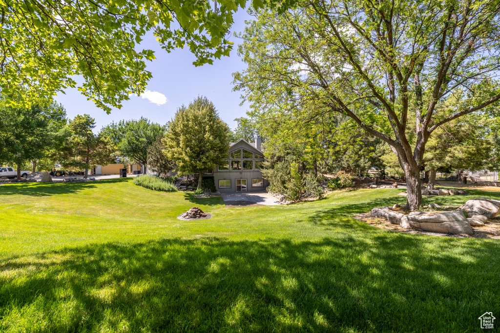 View of grassy yard