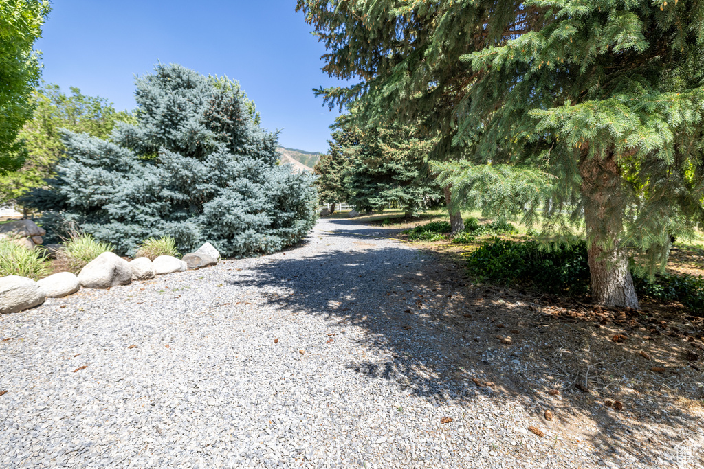 View of road