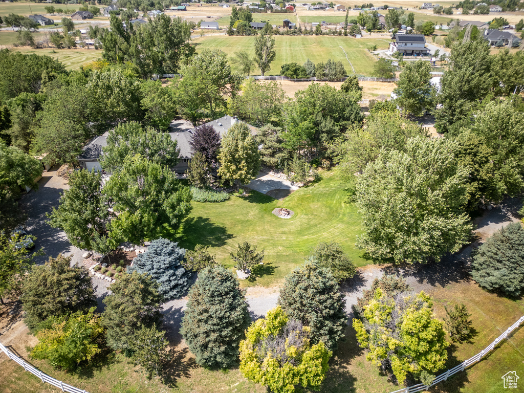Bird's eye view of a tree filled landscape
