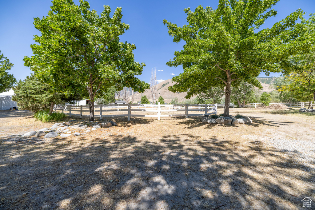 View of yard with a mountain view and a rural view