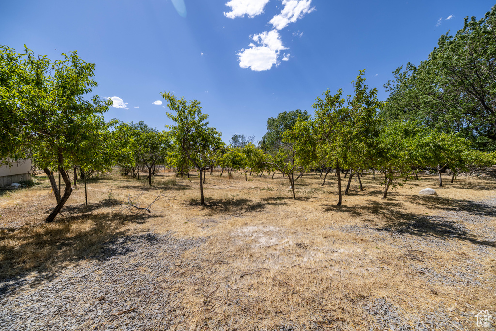 View of undeveloped land featuring rural landscape