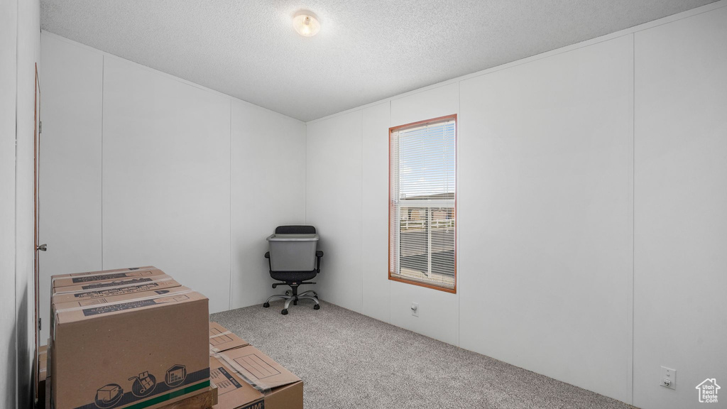 Miscellaneous room featuring carpet flooring and a textured ceiling