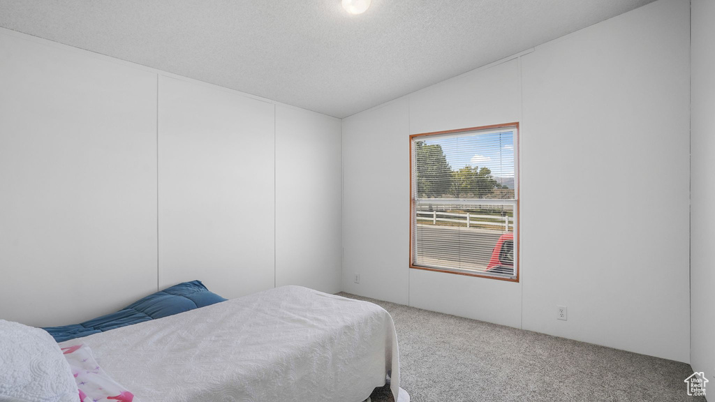 Carpeted bedroom with lofted ceiling and a textured ceiling