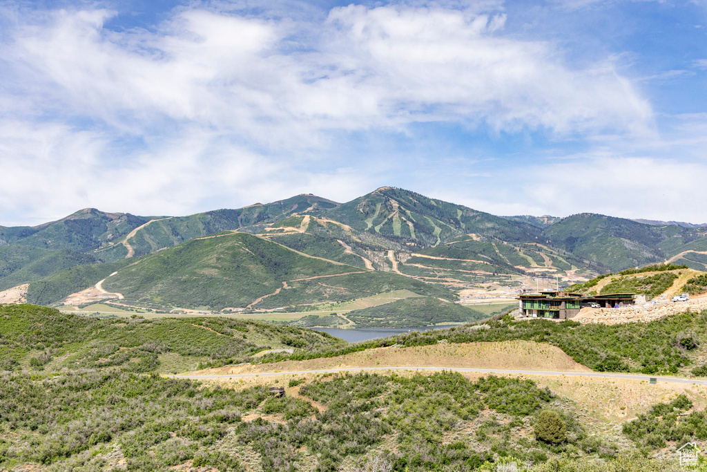 Mountain view