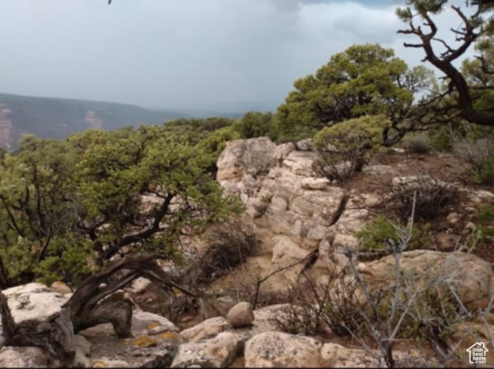 View of undeveloped land