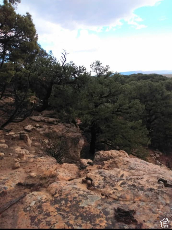 View of wooded area