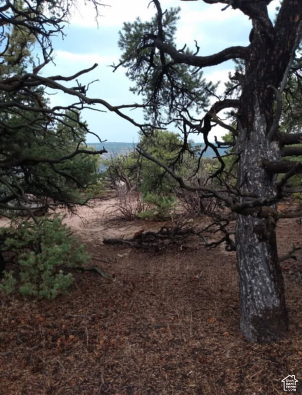 View of undeveloped land