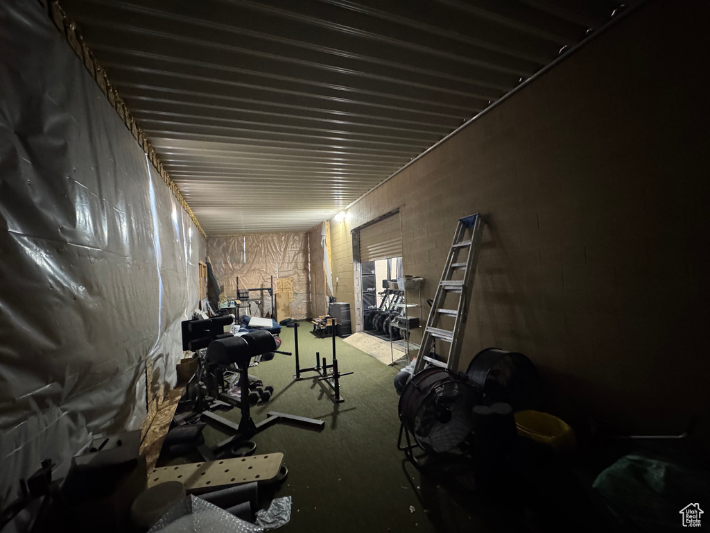 Miscellaneous room featuring carpet flooring