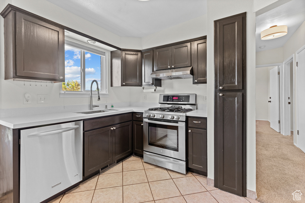 Kitchen with appliances with stainless steel finishes, under cabinet range hood, dark brown cabinetry, light countertops, and light tile patterned flooring