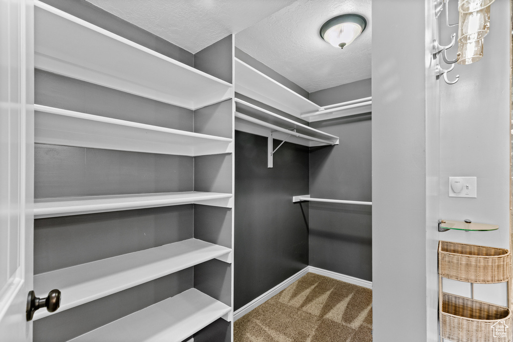 Walk in closet with carpet floors