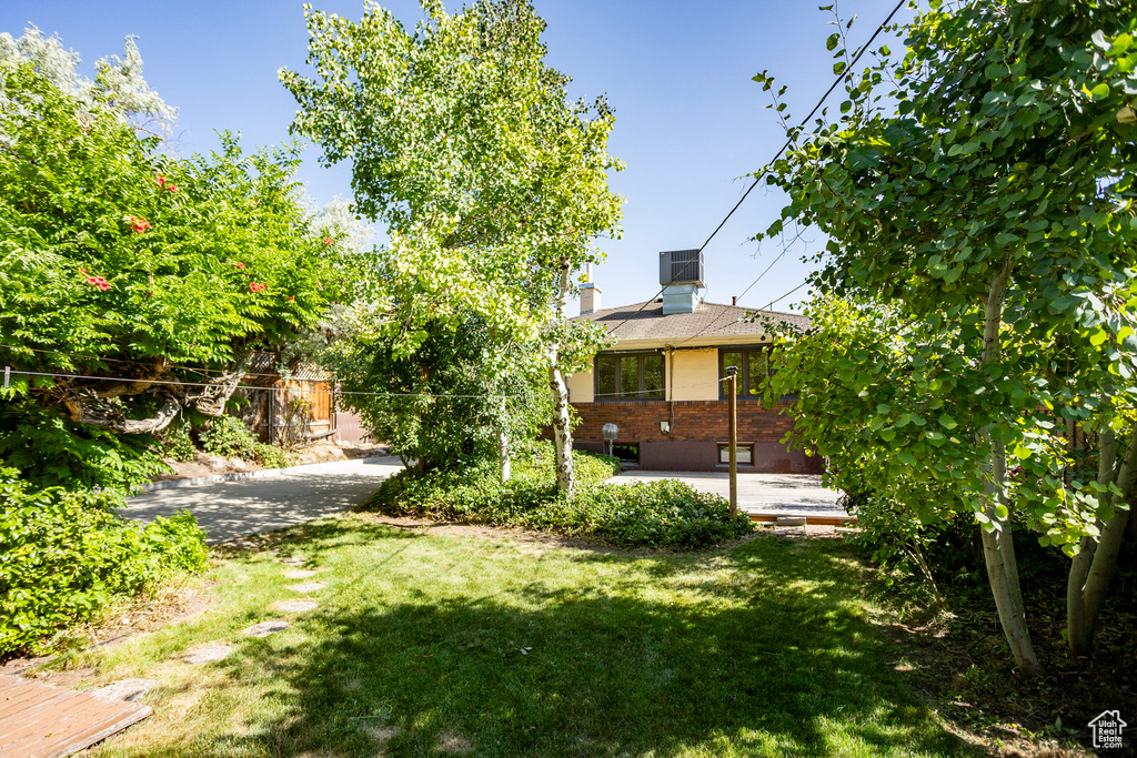 View of yard featuring a patio area