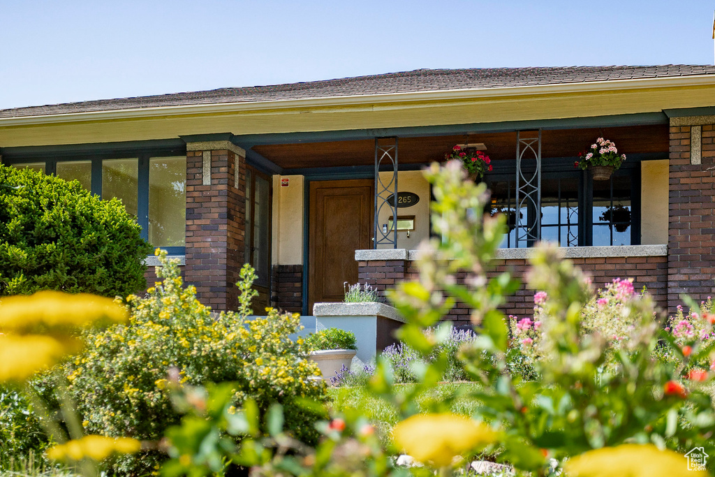 Property entrance featuring brick siding and a porch