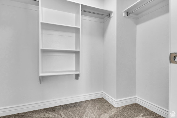 Spacious closet with carpet