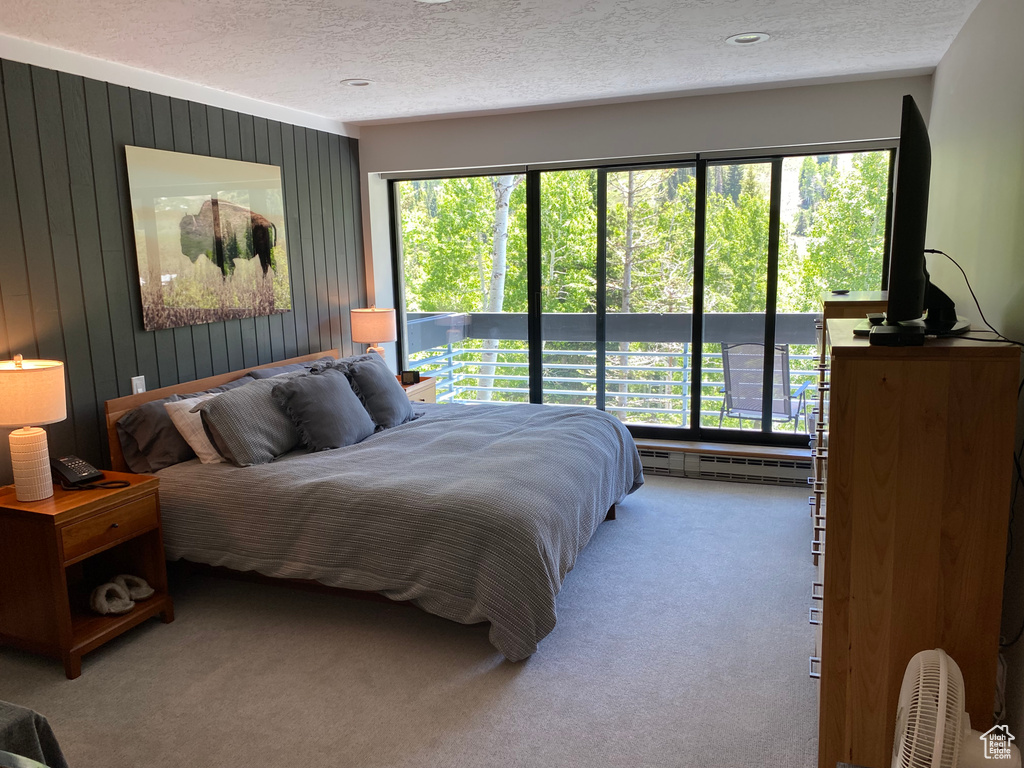 Bedroom featuring baseboard heating, multiple windows, a textured ceiling, and carpet flooring