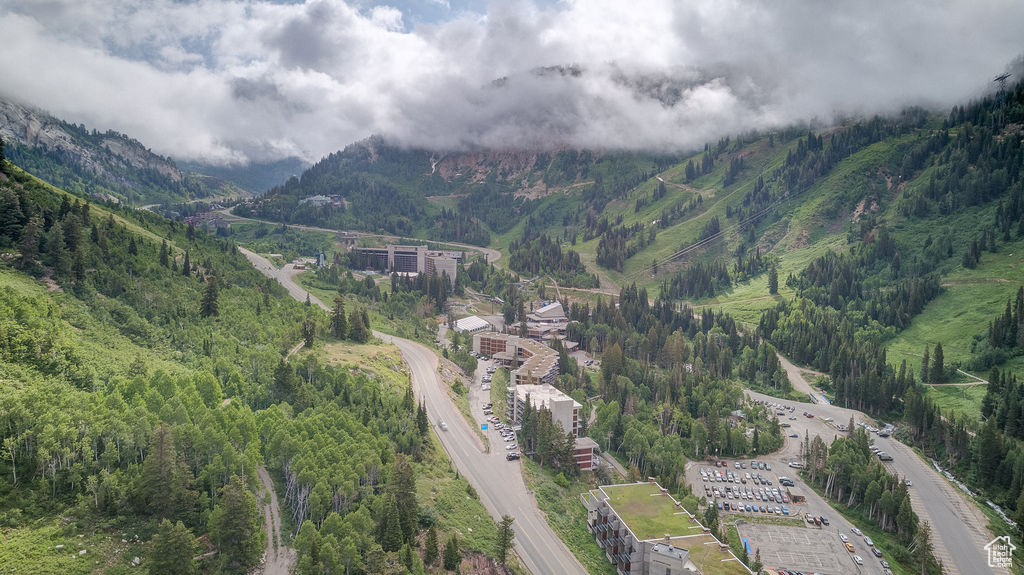 Aerial view of a heavily wooded area