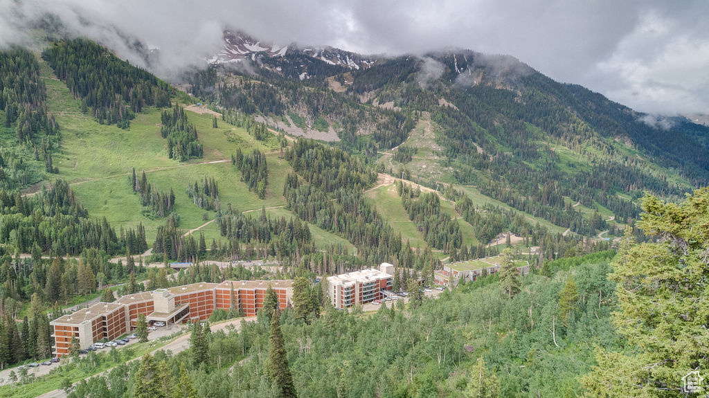 View of mountain background with a heavily wooded area