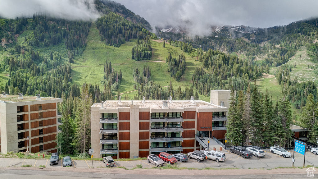 View of mountain background featuring a heavily wooded area