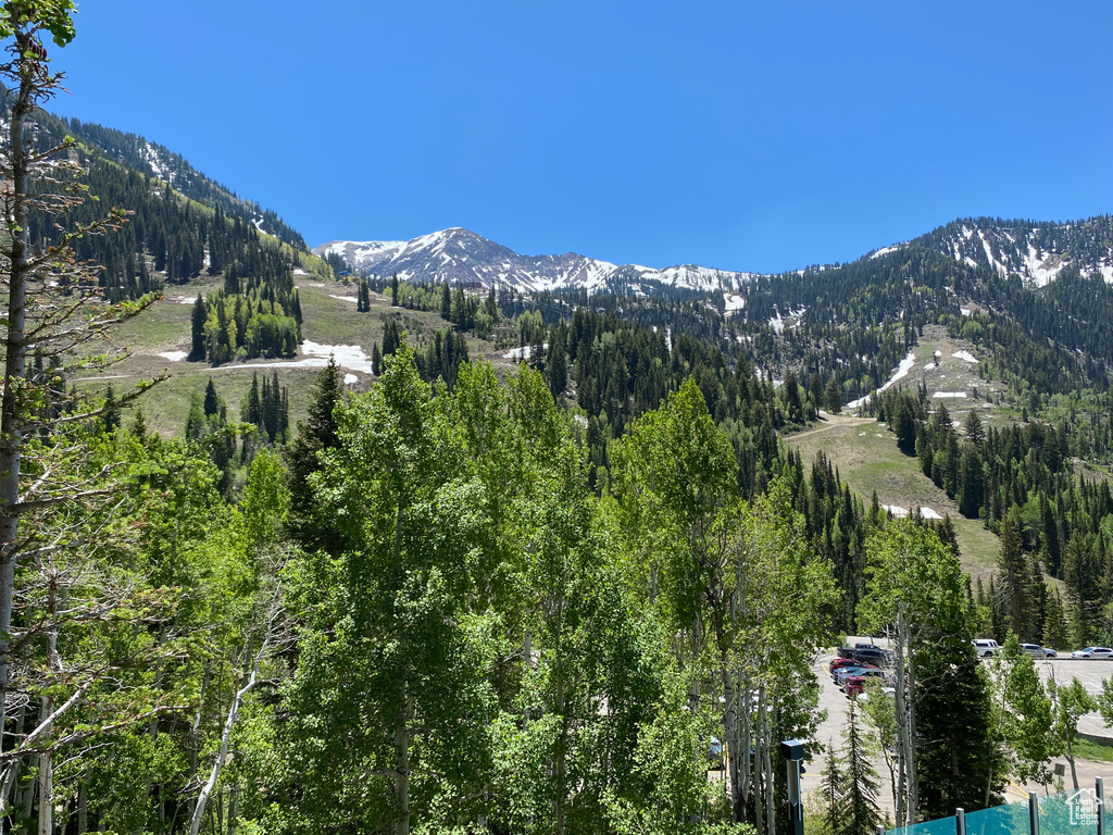 View of mountain backdrop featuring a forest