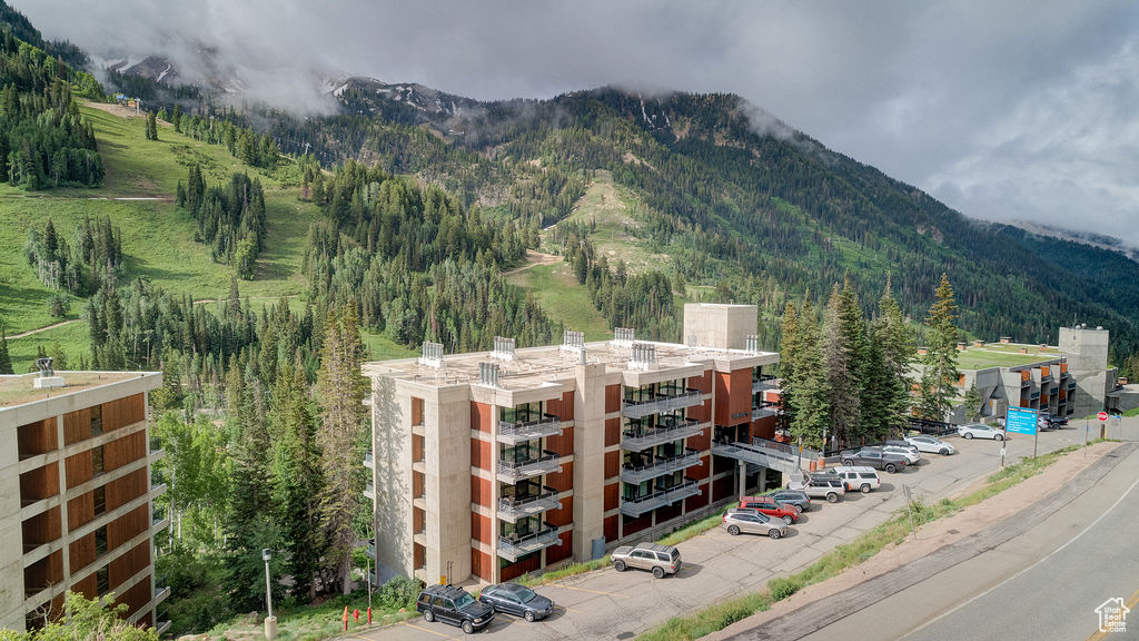 Mountain view featuring a heavily wooded area