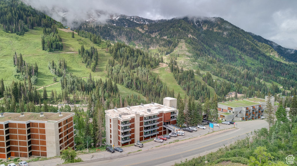 View of mountain background