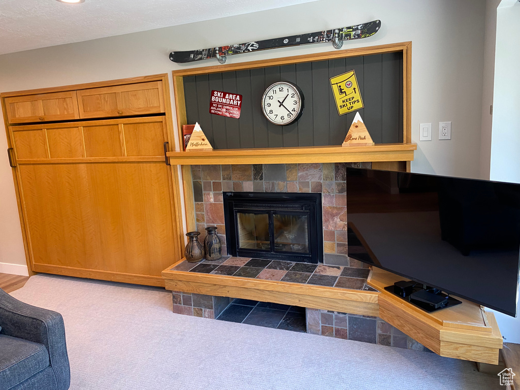 Detailed view of a fireplace and carpet floors