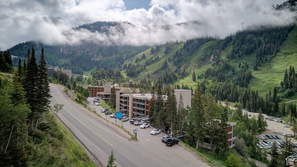 View of mountain background with a heavily wooded area
