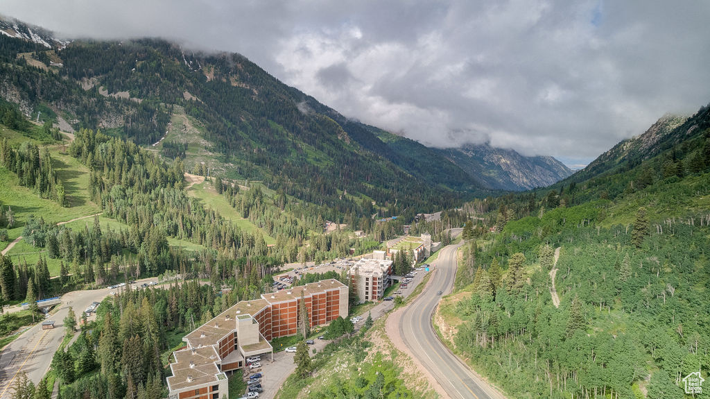 Mountain view featuring a heavily wooded area