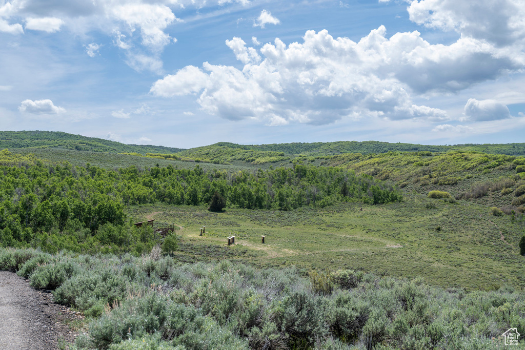 View of mountain backdrop featuring a heavily wooded area