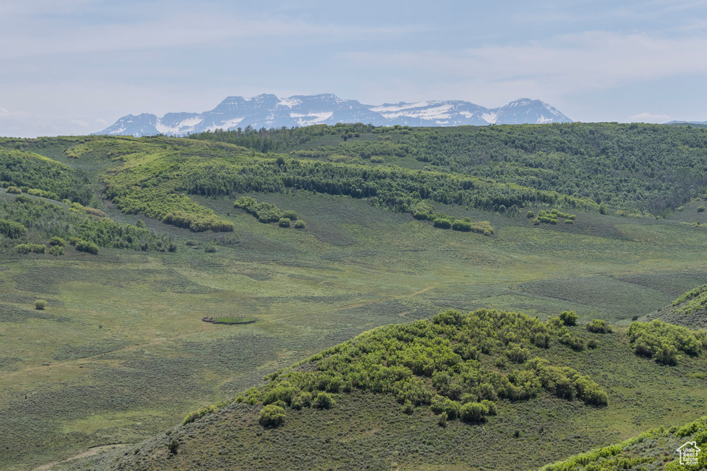 Mountain view