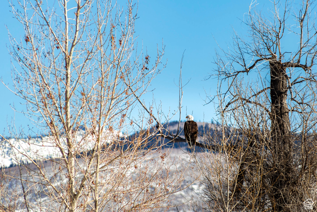 5916 E BACKCOUNTRY WAY Heber City, UT 84032