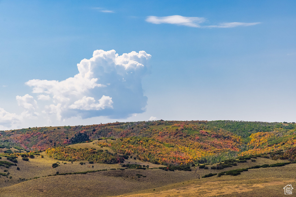 5916 E BACKCOUNTRY WAY Heber City, UT 84032