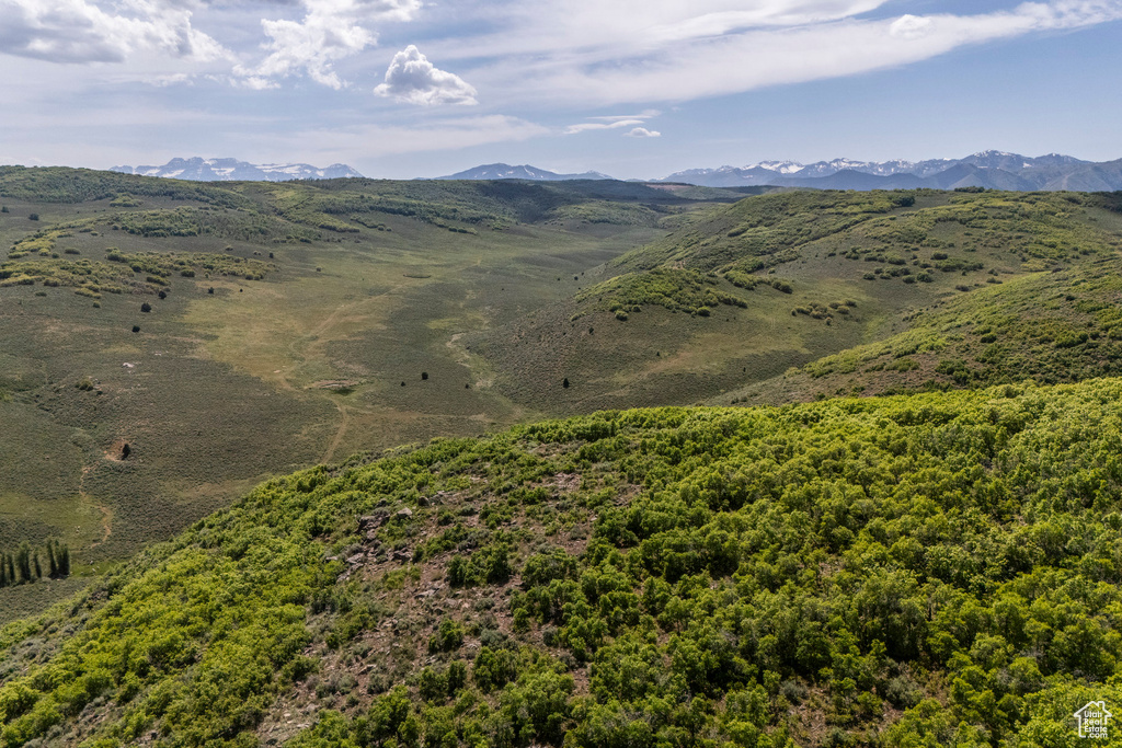 View of mountain background