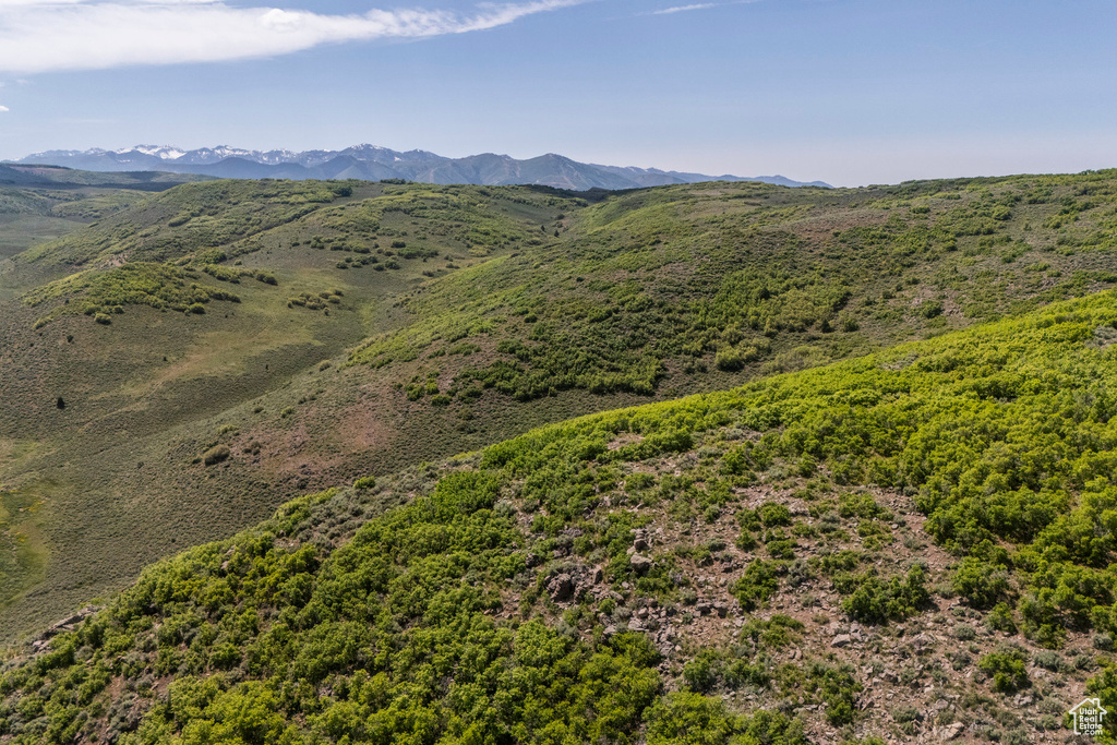 View of mountain background