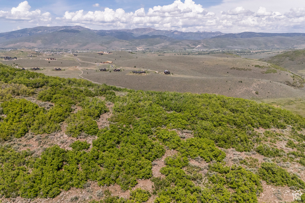 Drone / aerial view of mountains