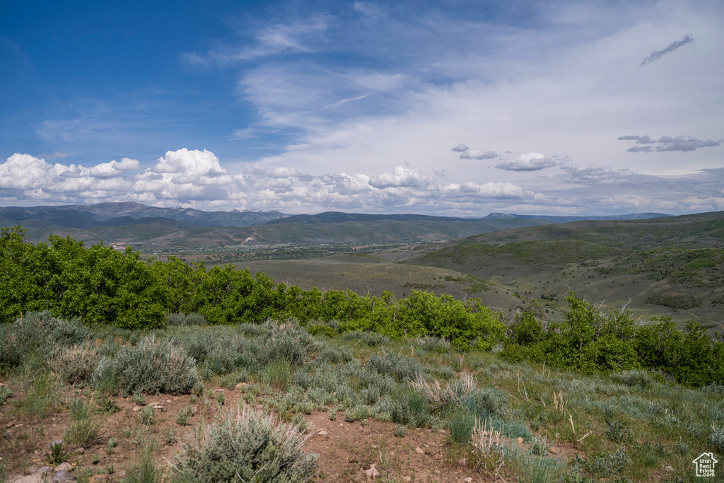 View of mountain background