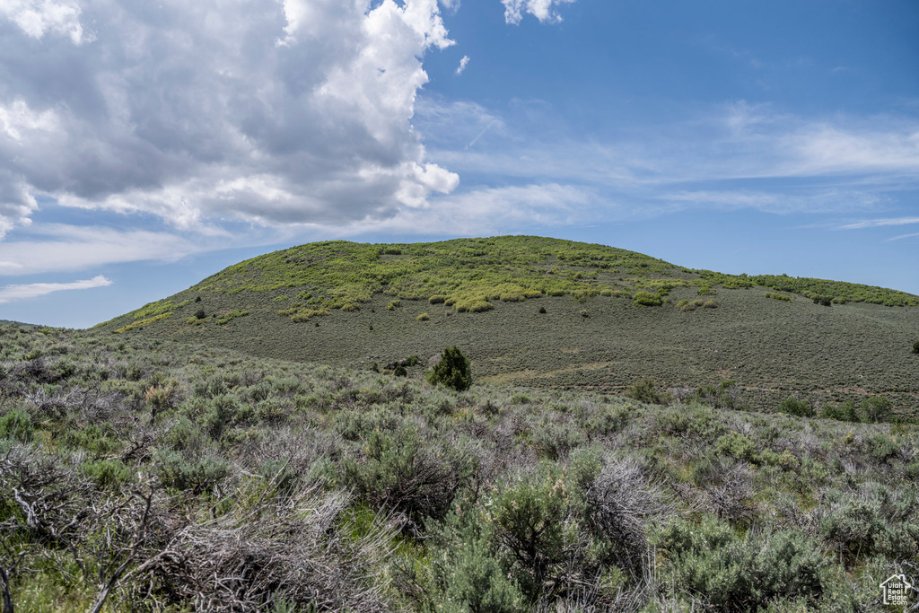 Mountain view