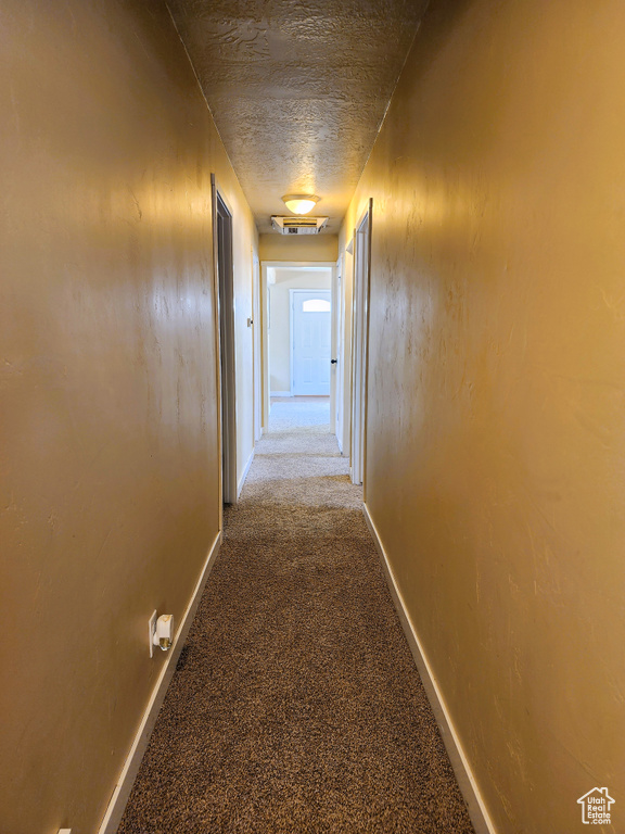 Corridor with carpet floors and a textured ceiling